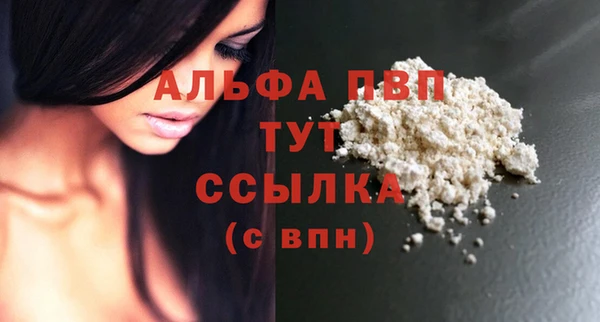 PSILOCYBIN Гусь-Хрустальный