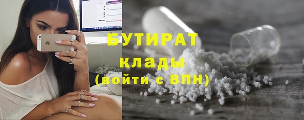 дмт Гусев