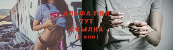 дмт Гусев