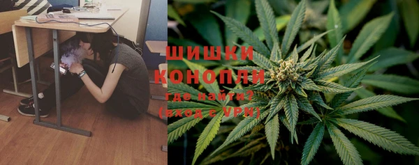 дмт Гусев