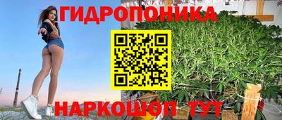 стафф Бугуруслан