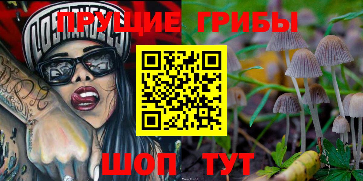 Галлюциногенные грибы MAGIC MUSHROOMS Мценск
